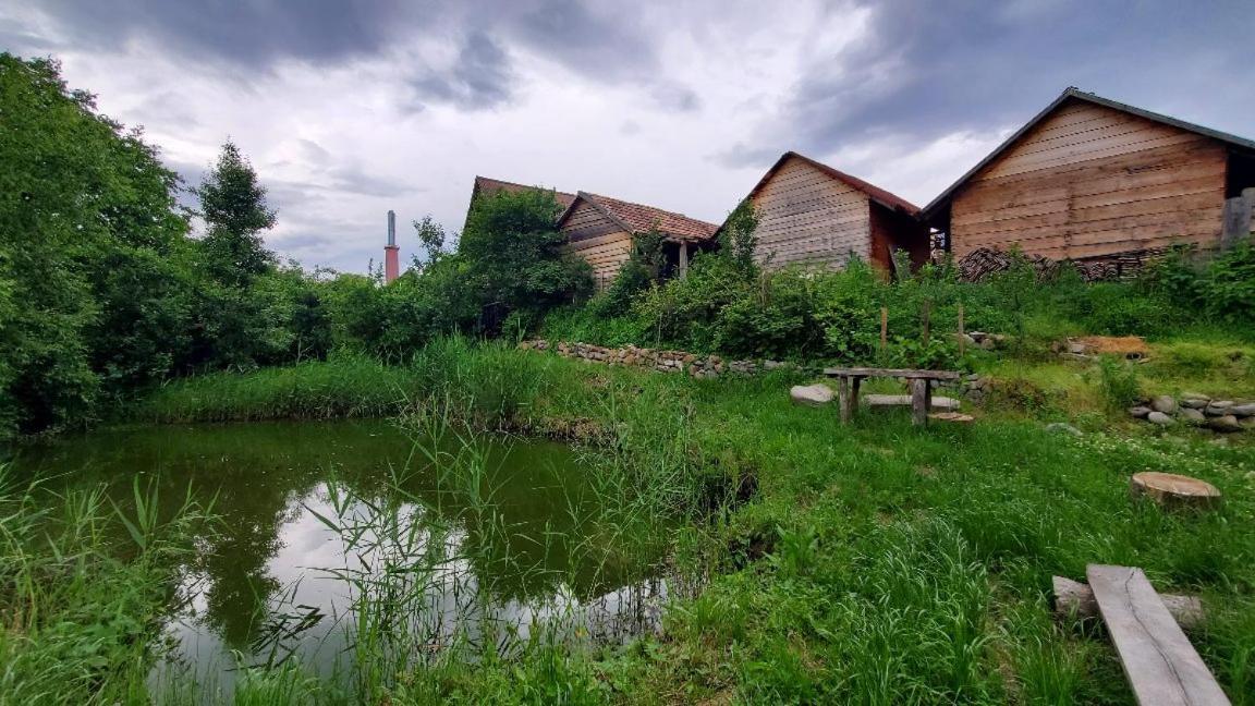 Casa Rustic Fehér&Fekete Vendégházak Sovata Extérieur photo