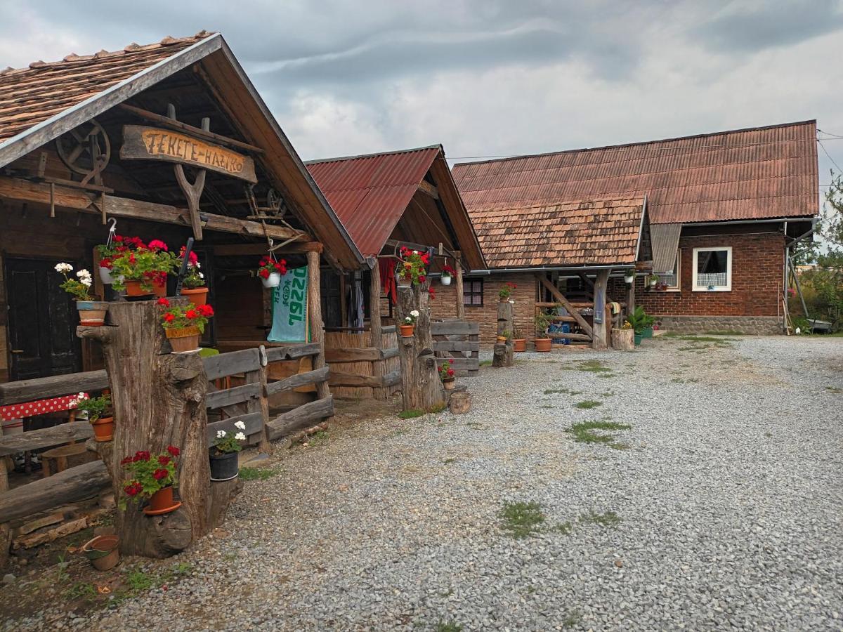 Casa Rustic Fehér&Fekete Vendégházak Sovata Extérieur photo